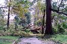 Hurrican Pic3